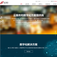 神州數(shù)碼網(wǎng)站_digitalchina.com