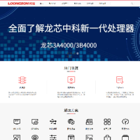 龍芯_loongson.cn